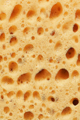 Yellow Sponge Surface Abstract Background