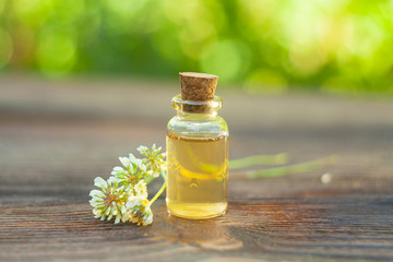 Essence of flowers on table in beautiful glass jar