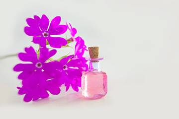 Obraz na płótnie Canvas primrose essential oil in beautiful bottle on table