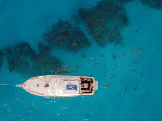 Drone view on sharks at the Bahamas