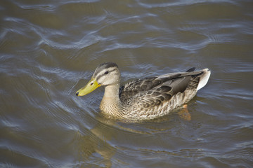 м-н Строгино