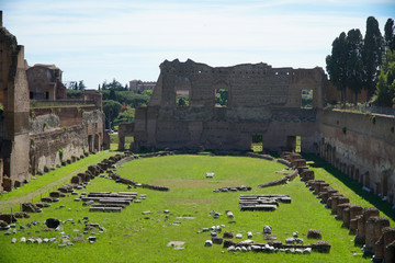 Fototapeta na wymiar view of the roman forum rome italy
