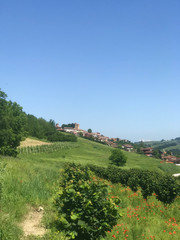 Fototapeta na wymiar View of Roddi, a village in the Langhe hills, Piedmont - Italy