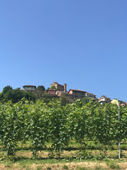 View of Roddi, a village in the Langhe hills, Piedmont - Italy