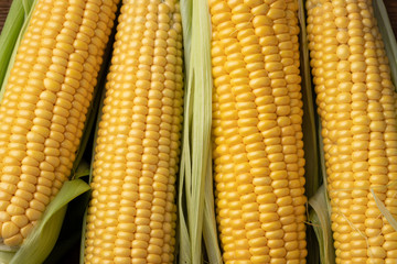Fresh corn on cobs on rustic wooden table, closeup. Top view
