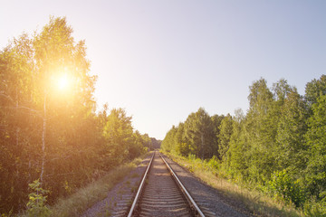 Fototapeta premium Train rails in the forest