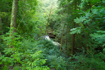 Waterfall and Stream Rushing Through Gorge In Forest