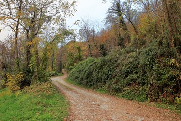 Fototapeta na wymiar Panorame strada modenese