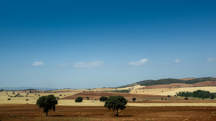 Obraz premium Andalucia, Spain rural landscape with agricultural fields