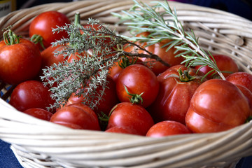 Tomates et aromates