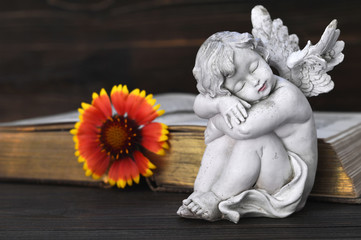 Angel, flower and old book