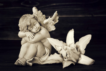 Angel and lily flower on wooden background