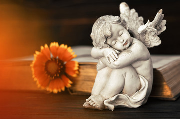 Guardian angel, flower and old book