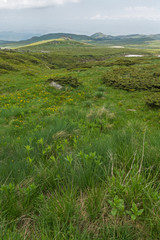 Landscape of Vitosha Mountain near Cherni Vrah Peak, Sofia City Region, Bulgaria