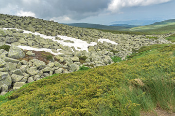Landscape of Vitosha Mountain near Cherni Vrah Peak, Sofia City Region, Bulgaria