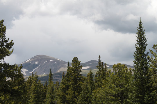 Cloudy sky and mountains with snow behind tree line
