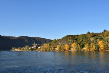 Fototapeta premium River with yellow leaves