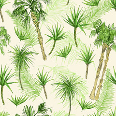 Palmtrees Seamless Pattern. Green coconut or queen palm trees with leaves. Beach and rainforest, desert coco flora. Foliage of subtropical fern. Green palmae or jungle arecaceae. Fashion Botany