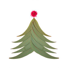 An Aussie Christmas tree made up of Australian gum tree leaves with a partially opened red gum nut blossom as the star