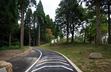 One lane winding road curves through trees showing first signs of autumn