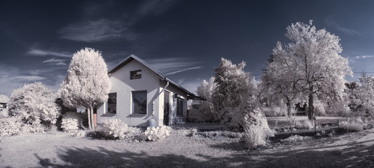infrared photography - ir photo of landscape with tree under sky with clouds - the art of our world...