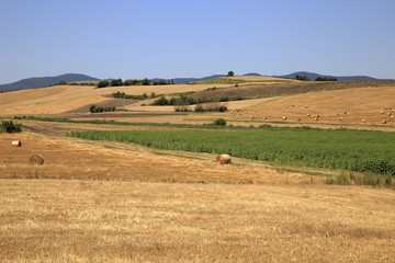 Fototapeta na wymiar Paesaggi Toscani