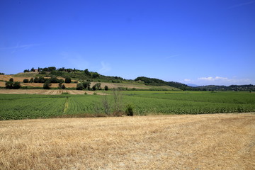 Fototapeta na wymiar Paesaggi Toscani