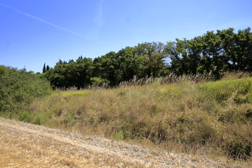 Obraz premium Paesaggio Toscano