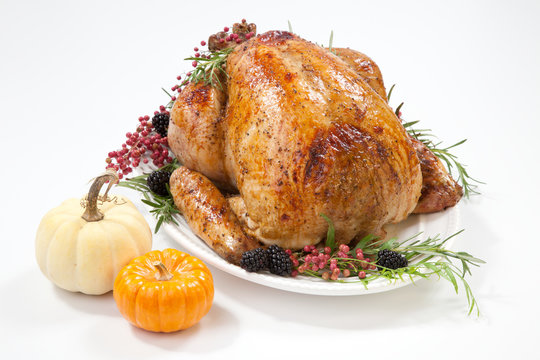 Thanksgiving Turkey on White