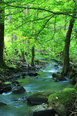 Obraz premium Ulfenbach