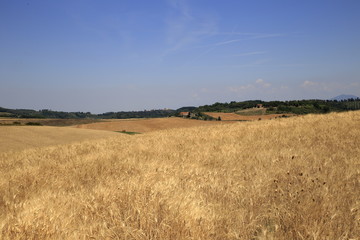 Obraz premium Krajobraz Toskanii