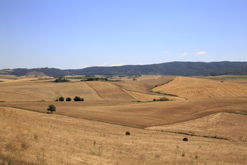 Obraz premium Paesaggio Toscano