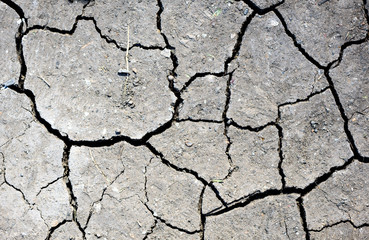Overhead colour image of cracked dry mud with cracks and fissures suggesting water shortage drought like conditions