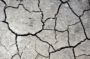 Overhead colour image of cracked dry mud with cracks and fissures suggesting water shortage drought like conditions