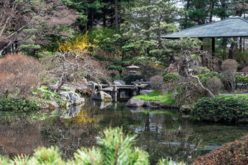 Fototapeta na wymiar 日本庭園の池