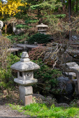 Fototapeta premium 日本庭園の池