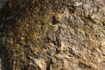 Moon Rock texture