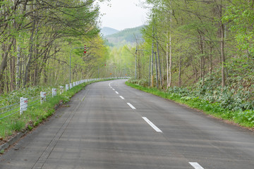 美瑛の丘と観光道路 / 北海道美瑛の観光イメージ