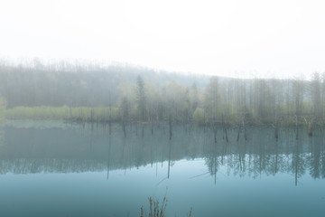 爽やかな青い池のイメージ / 北海道美瑛町の観光イメージ