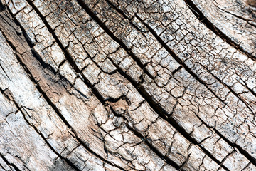 Fototapeta premium Closeup macro image of aged vintage and well worn wood in color with grains and cracks on the aged wooden surface