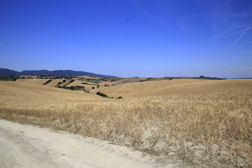 Fototapeta premium Paesaggio Toscano