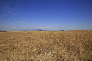 Paesaggio Toscano