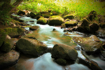 Ulfenbach