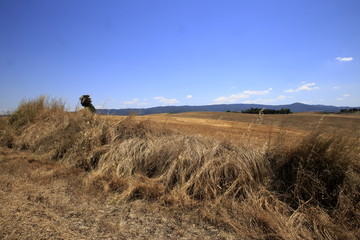 Paesaggio Toscano