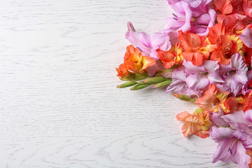 Beautiful gladiolus flowers on light wooden background