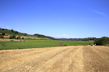 Fototapeta na wymiar Paesaggio Toscano