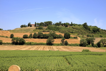 Paesaggio Toscano