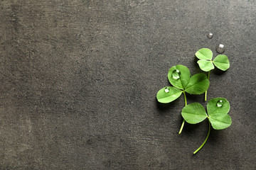 Green clover leaves on gray background, flat lay composition with space for text