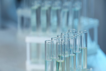 Holder with test tubes in laboratory. Chemical analysis
