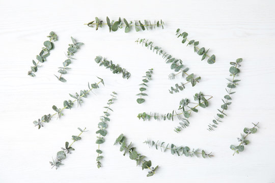 Flat lay composition with fresh eucalyptus leaves on white wooden background